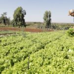 IPP sobe 2,37% em março após queda em fevereiro, diz IBGE