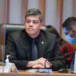 Protetores Mirins: educar para evitar maus-tratos animais