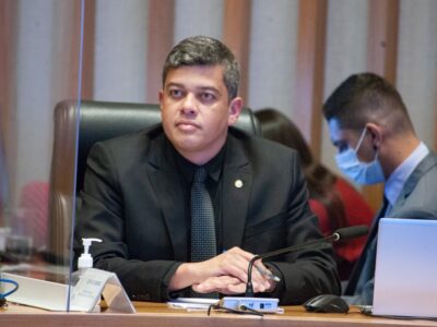 Protetores Mirins: educar para evitar maus-tratos animais