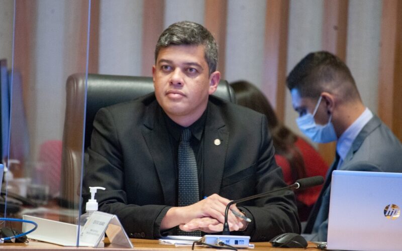 Protetores Mirins: educar para evitar maus-tratos animais