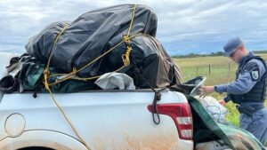 Quatro presos com grude de peixe de R$ 1 mi no Amapá
