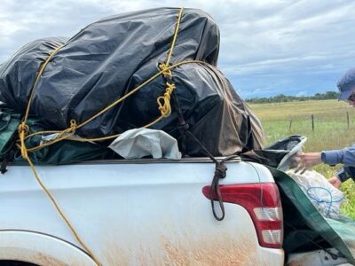 Quatro presos com grude de peixe de R$ 1 mi no Amapá