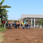 Emater-DF leva circuito de fruticultura à AgroBrasília 2026