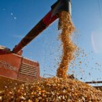 IGP-DI: preços agropecuários sobem 0,97% em abril