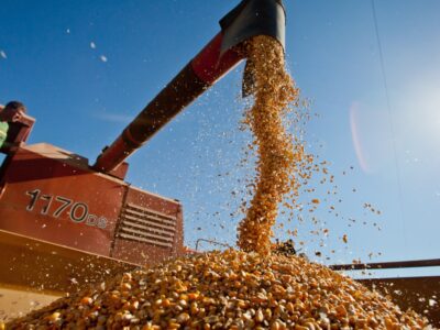 IGP-DI: preços agropecuários sobem 0,97% em abril